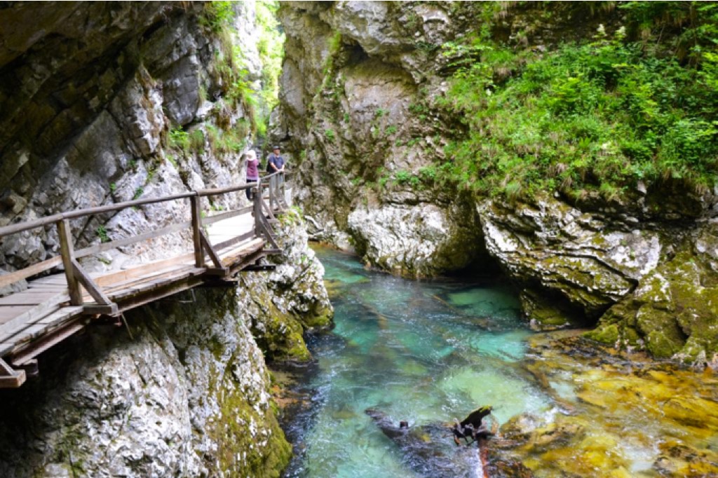 Acqua cristallina in mezzo a una gola 