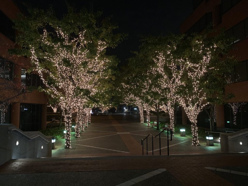 Piazza di notte illuminata dalle luci che decorano gli alberi