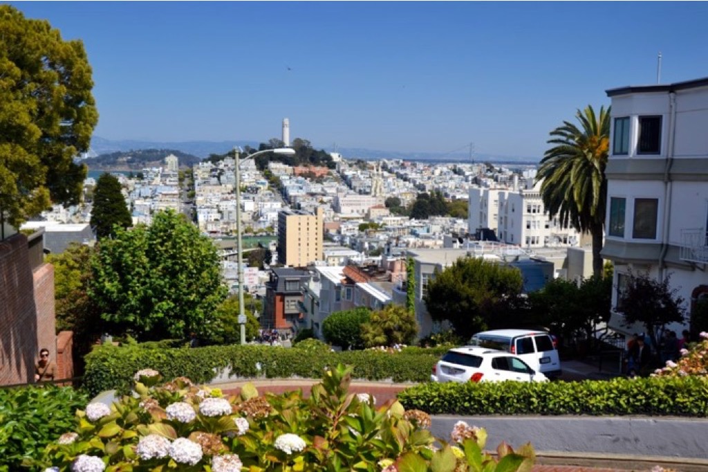 San Francisco vista dall'alto della collina di Lombard Street