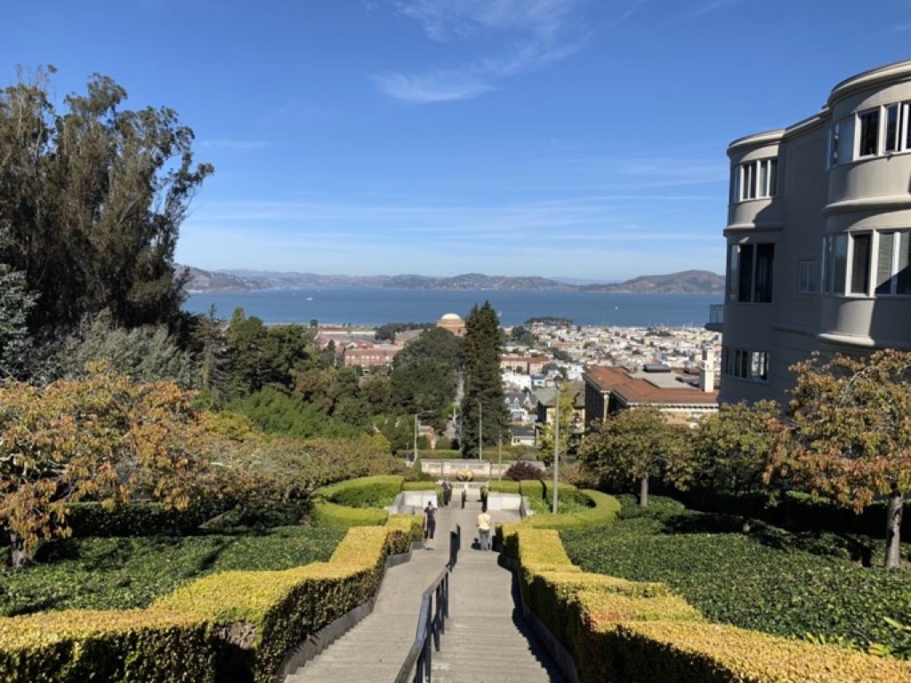 Scalinata che porta la mare di San Francisco, costeggiata da siepi verdi