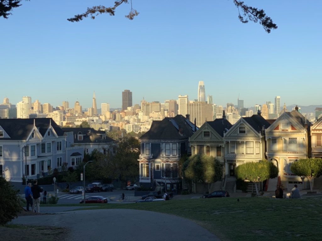 Case colorate tipiche di San Francisco con sfondo i grattacieli di downtown