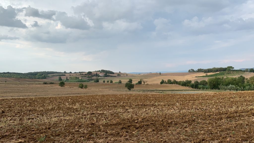 Campi nella campagna Toscana