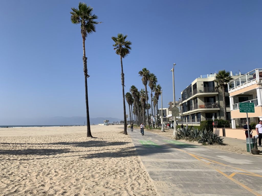 Pista ciclabile al lato della spiaggia di Venice Beach, costeggiata da palme