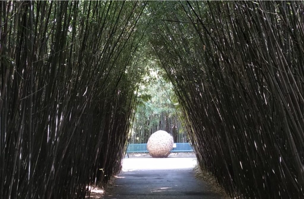 Tunnel formato da bambù che termina in uno spazio aperto con un'opera d'arte a forma di sfera formata da bambù