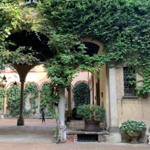 Cortili con porticato e piante rampicanti